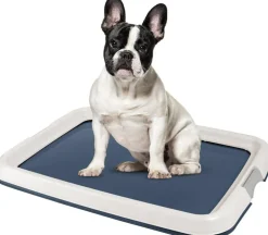 IRIS USA Square Pet Training Pad Holder