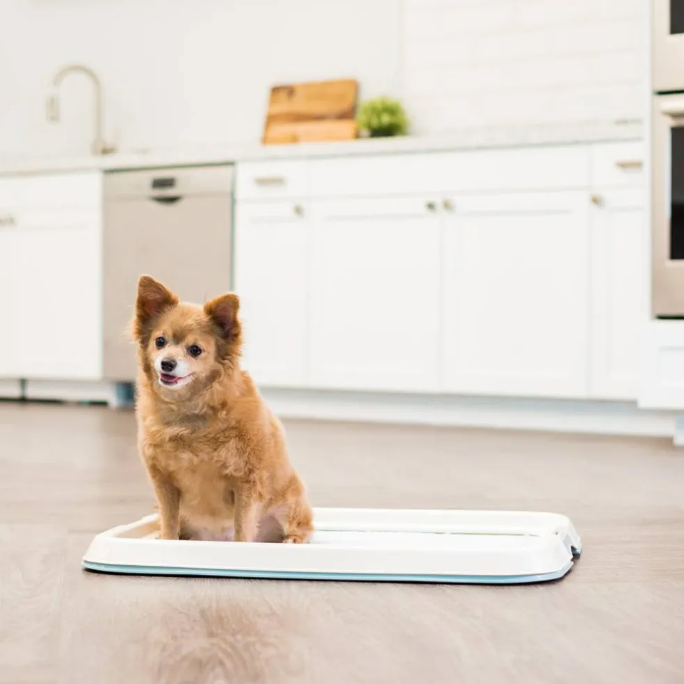 IRIS USA Square Pet Training Pad Holder