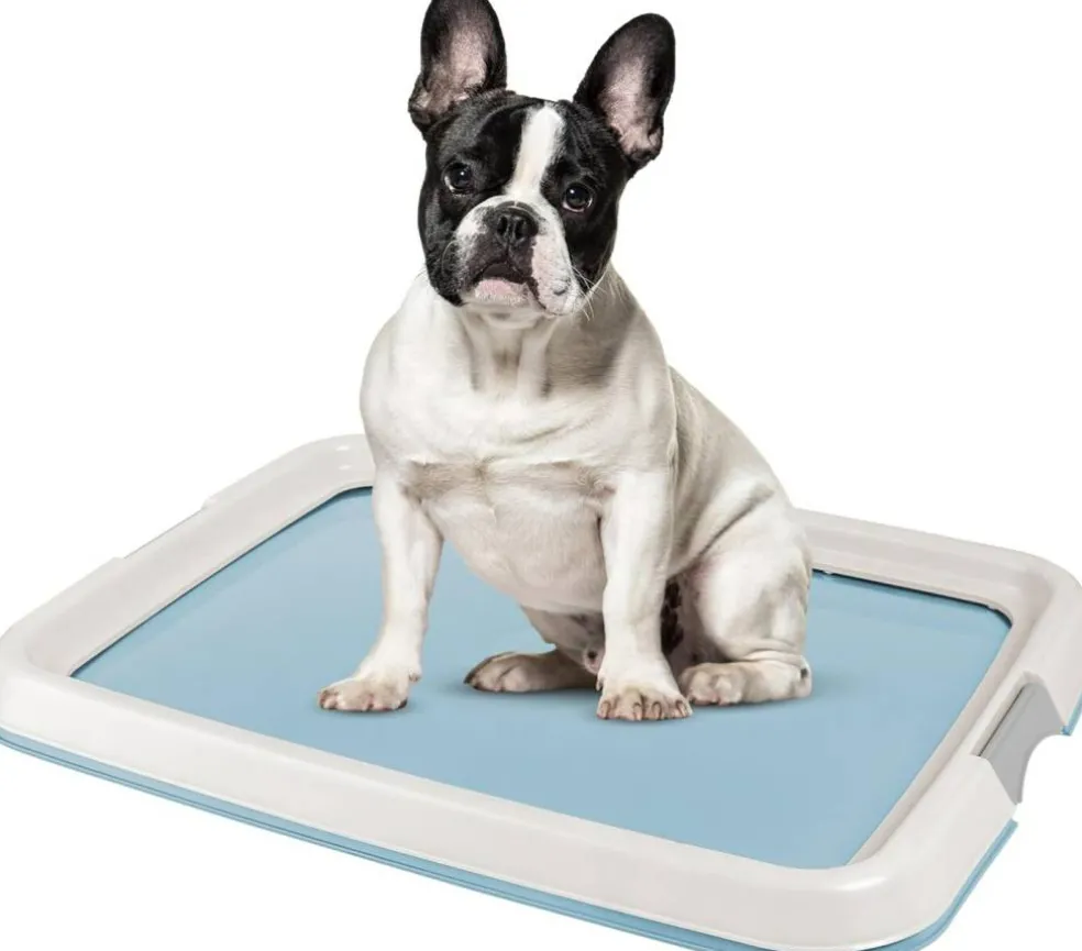IRIS USA Square Pet Training Pad Holder
