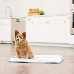IRIS USA Square Pet Training Pad Holder