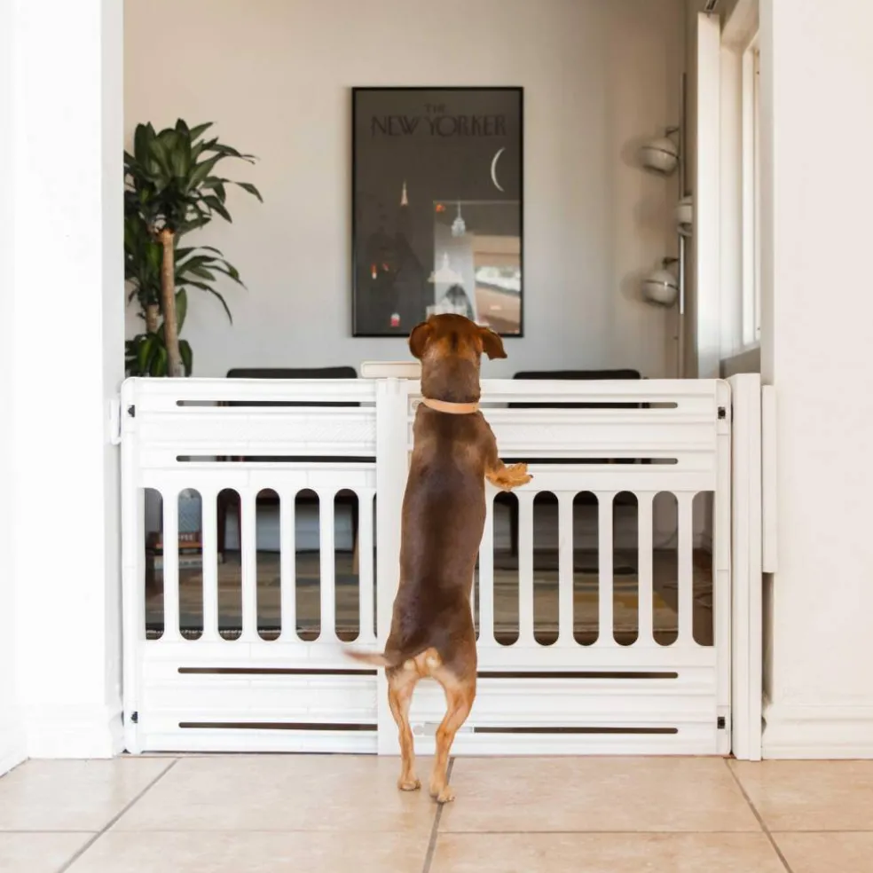 IRIS USA 24 to 39" Plastic Portable Expandable Pet Gate, Safety Gate