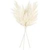 28" Ivory Pampas Grass Spray 3/Bag