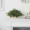 14" Ivy in White Planter
