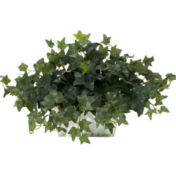 14" Ivy in White Planter