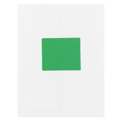 JAM Paper Adhesive Shipping Labels, 3.33
