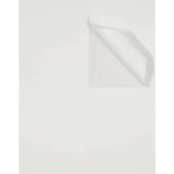 JAM Paper Extra Large Shipping Address Label Stickers