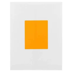 JAM Paper Extra Large Shipping Address Label Stickers