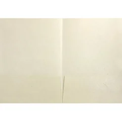 JAM Paper Handmade Metallic Folders
