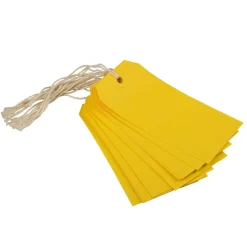 JAM Paper Medium Gift Tags with String