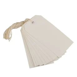 JAM Paper Medium Gift Tags with String