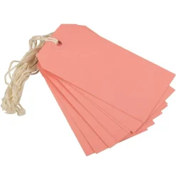 JAM Paper Medium Gift Tags with String