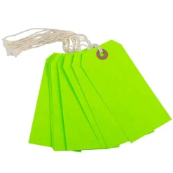 JAM Paper Medium Gift Tags with String
