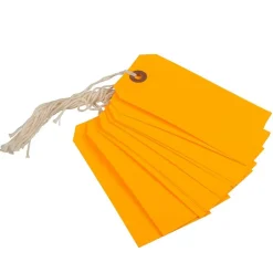 JAM Paper Medium Gift Tags with String
