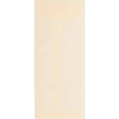 JAM Paper 4.125" x 9.5" Business Translucent Vellum Envelopes, 25ct.