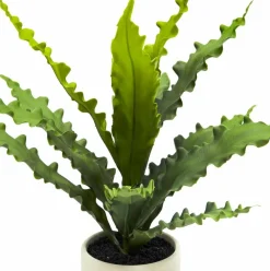 14" Java Fern in Wavy White Ceramic Pot by Ashland®