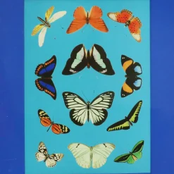 Jonathan Adler x Michaels 11