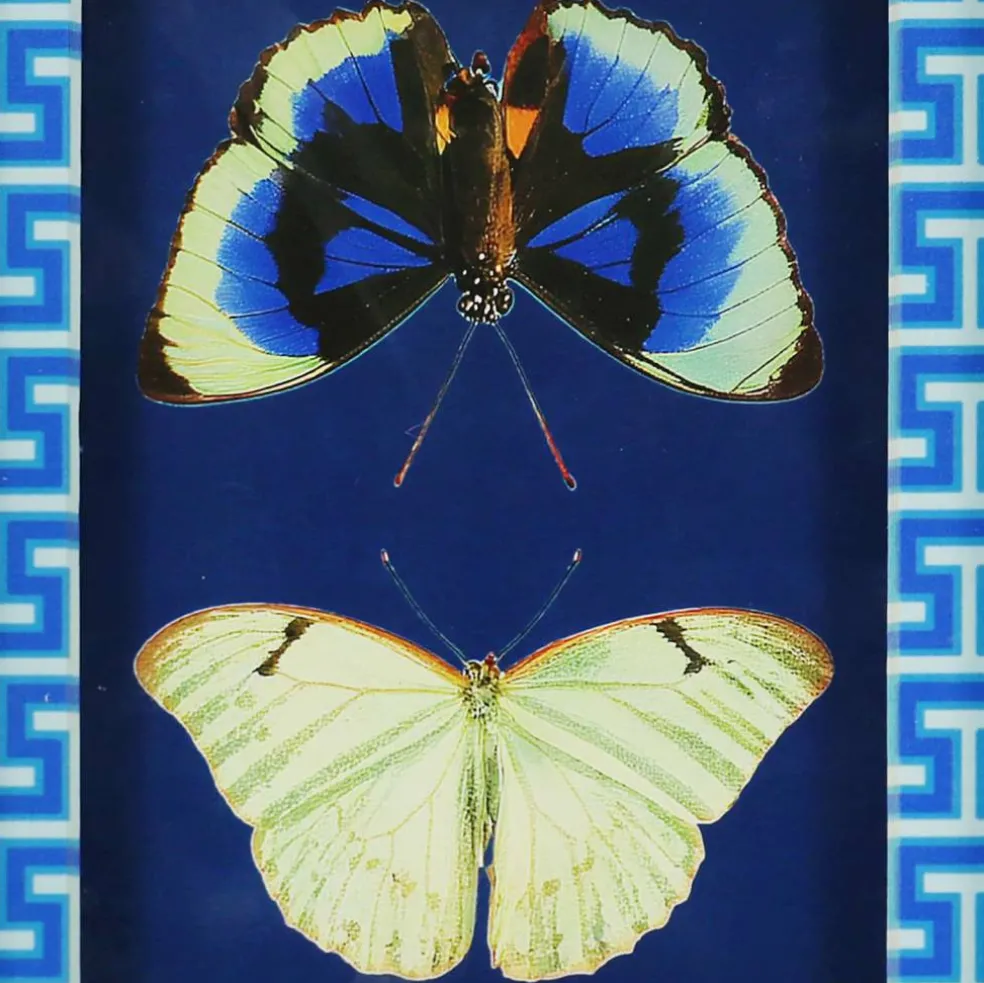 Jonathan Adler x Michaels 5.75" x 7.75" Blue & White Butterfly Art