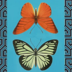 Jonathan Adler x Michaels 14.5