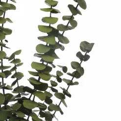 Kelly Green Dried Eucalyptus Bundle by Ashland®