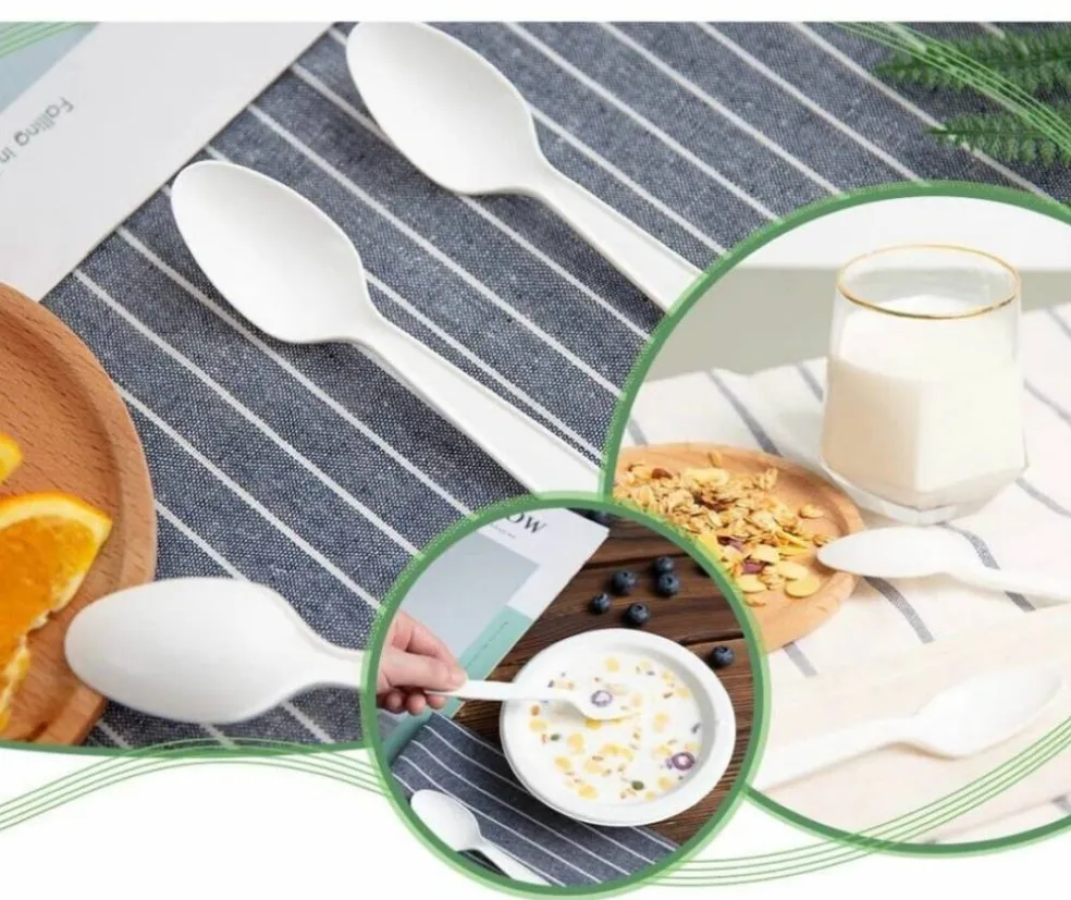 Kitcheniva Disposable White Plastic Spoons For Party