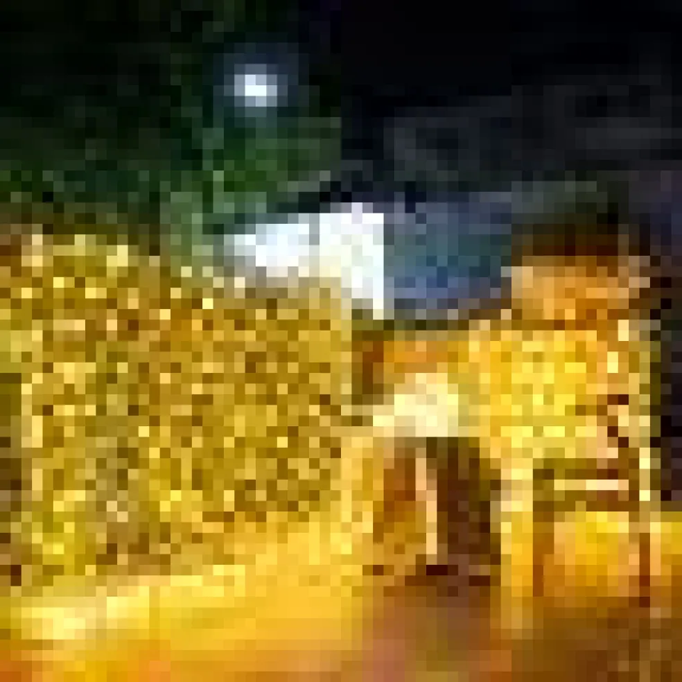 Kitcheniva Solar LED Net Mesh Fairy String Light
