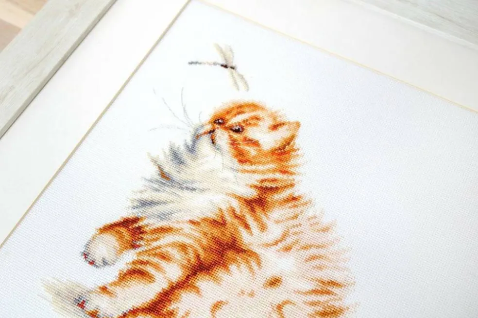 Kitten with a dragonfly Counted Cross-Stitch Kit by Luca-S B2270L