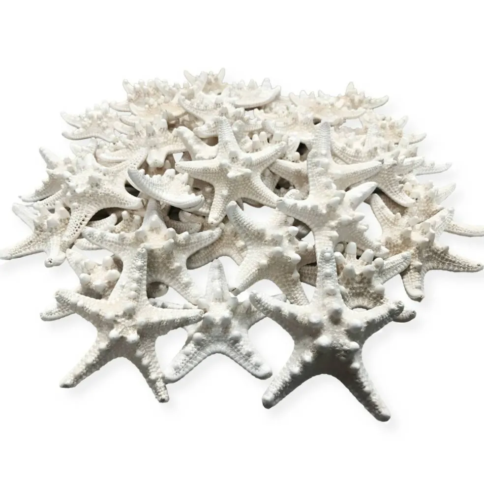 Knobby Starfish 48 Knobby Starfish White 1 1/4" to 2 1/4" Stars