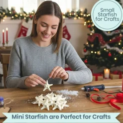 Knobby Starfish 48 Knobby Starfish White 1 1/4
