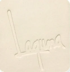 Laguna Clay B-Mix 5 WC401