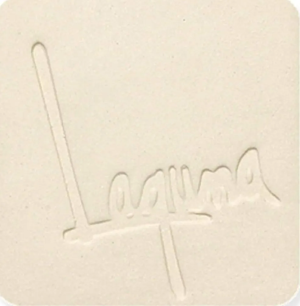 Laguna Clay B-Mix 5 WC401