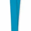 Lanyard w/Card Holder (Pack of 12)