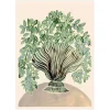 La Poire 8" x 10" Shell Vase Art Print
