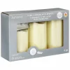 LED Flame Pillar Candle Set by Ashland®