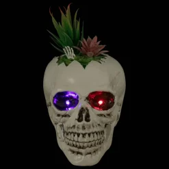 9" LED Lighted Succulent Halloween Skull Planter