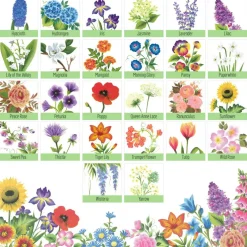 Let's Paint with FolkArt® One Stroke™ A-Z of Floral Painting Kit