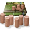 Let's Roll, Forest Friends Rollers, Set of 6