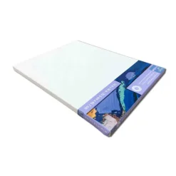 Level 1 Back Stapled Canvas by Artist's Loft®