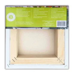 Level 3 Gallery Wrapped Heavy Duty Canvas by Artist's Loft®