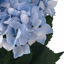 Light Blue Hydrangea Bush by Ashland®