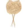 32" Light Brown Dried Grass Spear-Shaped Foliage with Sharp Stems