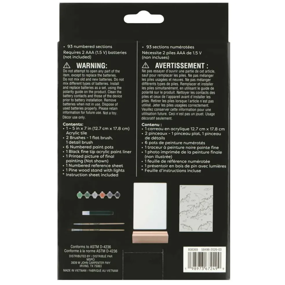 Light Up Bats Paint-by-Number Acrylic Surface Kit by Artist's Loft®