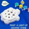Light Up Stepping Stone (SM)