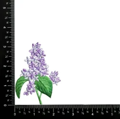 Lilac Flower, Plants, Embroidered, Iron on Patch