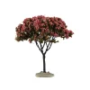 Linden Tree - 6 Inch