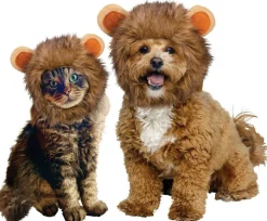Lion Pet Hood Costume