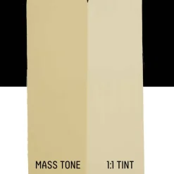 Liquitex® BASICS® 13.5oz. Acrylic Paint