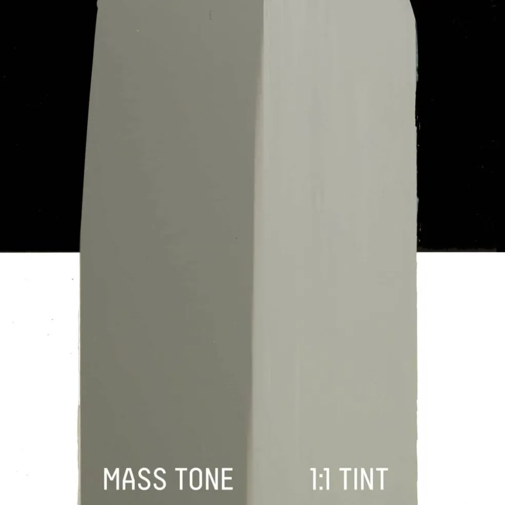 Liquitex® BASICS® 8.45oz. Acrylic Paint