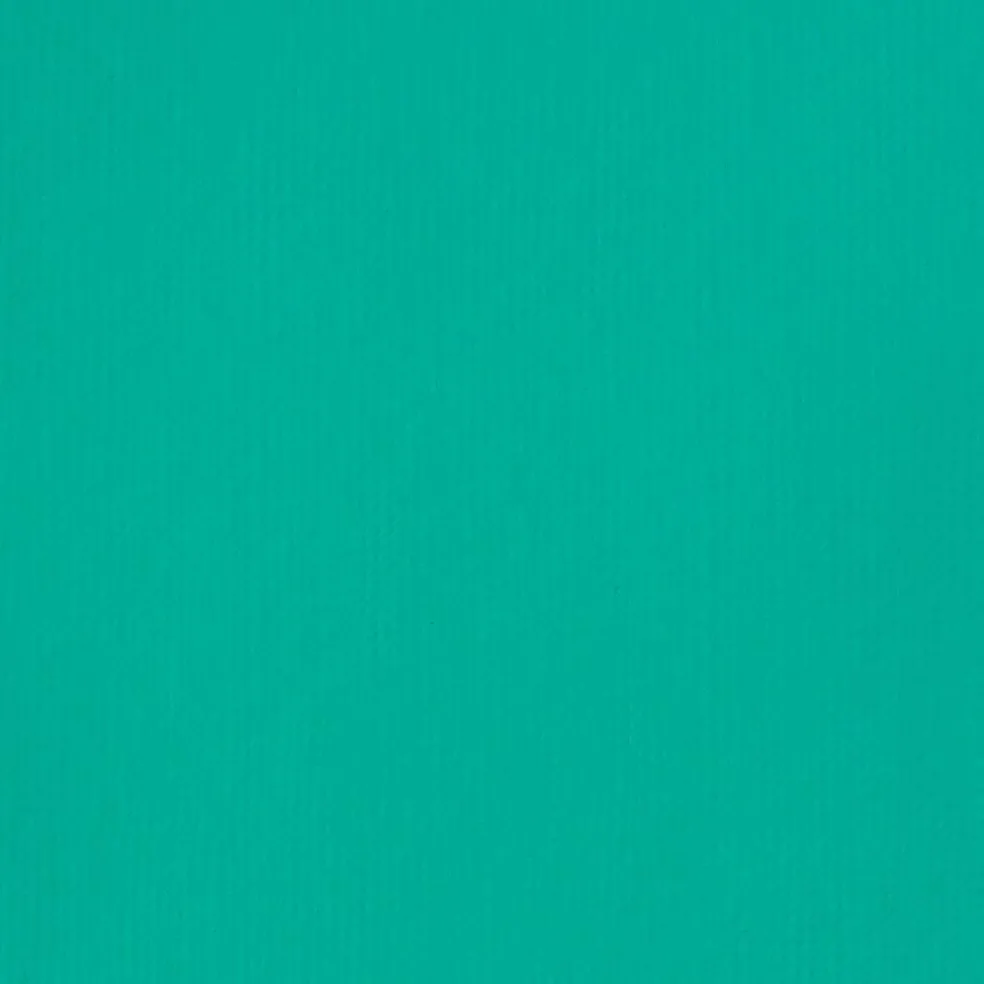 Liquitex® BASICS® 8.45oz. Acrylic Paint