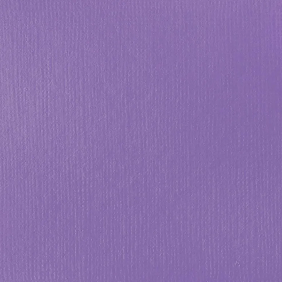 Liquitex® BASICS® 8.45oz. Acrylic Paint