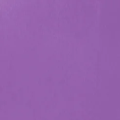 Liquitex® Professional 2oz. Heavy Body Acrylic Paint